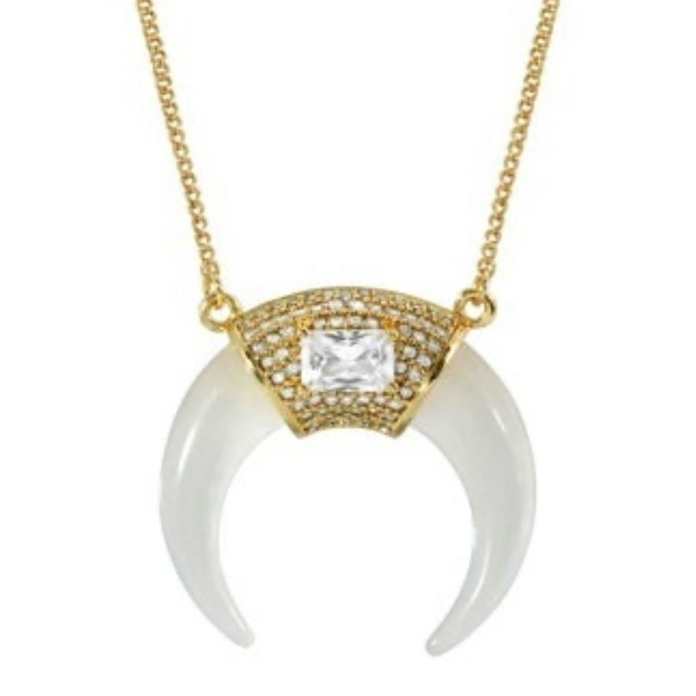 Horn necklace